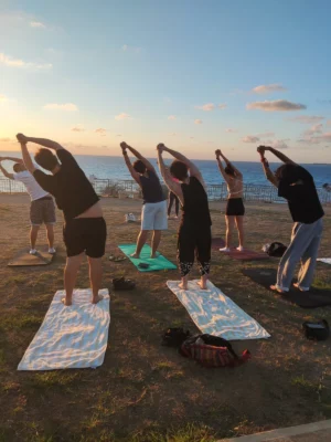 Hand-drawn workshop poster explaining how meditation changes the brain, used during the Pause and Breathe youth exchange.